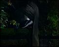 PDVD_5714