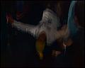 PDVD_5719