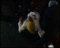 PDVD_5721