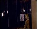 PDVD_5784