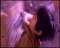 PDVD_5826