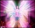 PDVD_5829