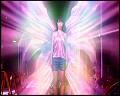 PDVD_5830