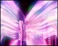 PDVD_5835