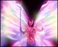 PDVD_5845
