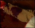 PDVD_5884