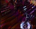 PDVD_5948