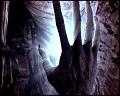 PDVD_5975