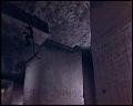 PDVD_5985