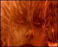 PDVD_6076