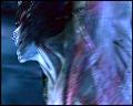 PDVD_6079