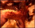 PDVD_6089