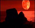PDVD_6119