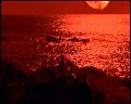 PDVD_6124