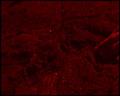 PDVD_6138