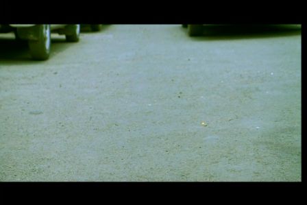 PDVD_1088.jpg