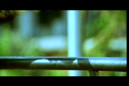 PDVD_1103.jpg