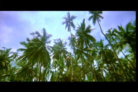 PDVD_205.jpg