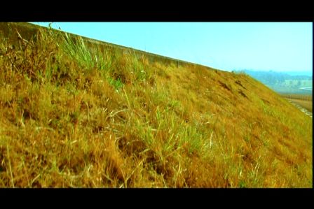 PDVD_2667.jpg