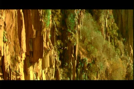 PDVD_2731.jpg