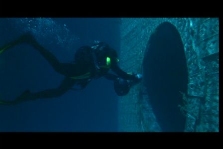PDVD_798.jpg