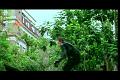 PDVD_1081