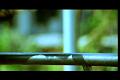 PDVD_1103