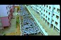PDVD_1209