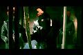 PDVD_1379