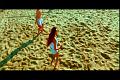 PDVD_1752
