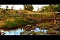 PDVD_1896