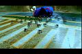 PDVD_2480