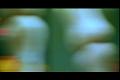 PDVD_2498