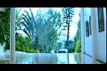 PDVD_2531