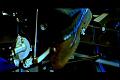 PDVD_2599