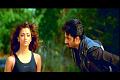 PDVD_2835