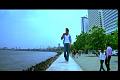 PDVD_585