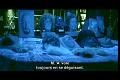PDVD_595
