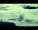PDVD_1069