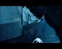 PDVD_1100