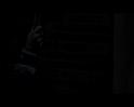 PDVD_1129