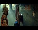 PDVD_1146