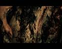 PDVD_1422