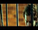 PDVD_1429