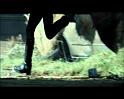 PDVD_1554