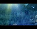 PDVD_1662