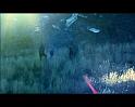 PDVD_1663