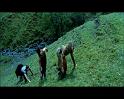 PDVD_1668
