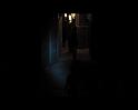 PDVD_1686