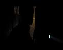 PDVD_1688